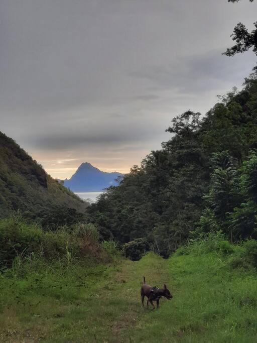 Vacation House In Tahiti Punaauia  ภายนอก รูปภาพ