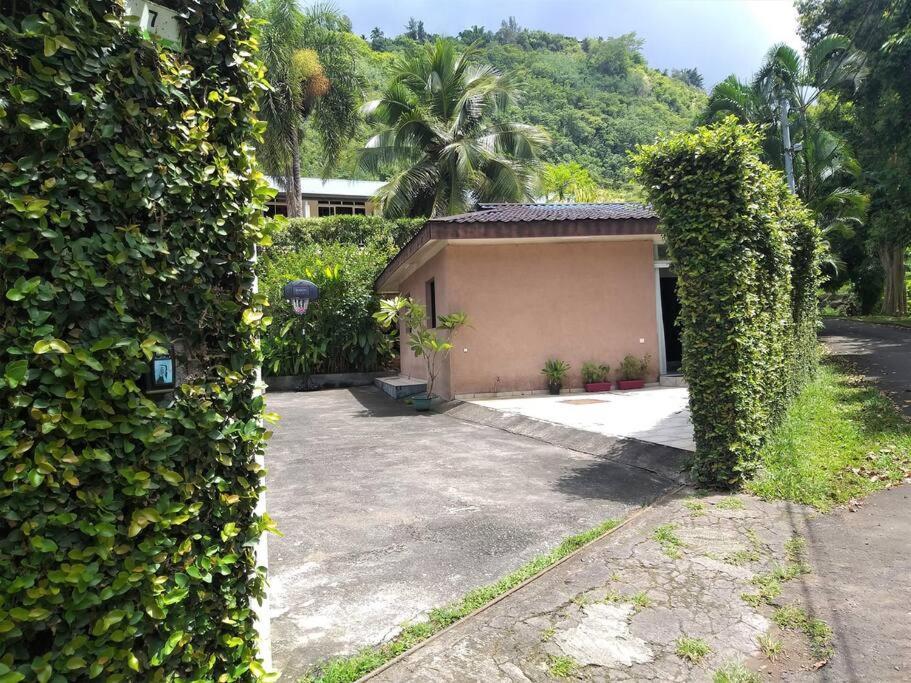 Vacation House In Tahiti Punaauia  ภายนอก รูปภาพ